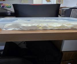 جبنة سودانية